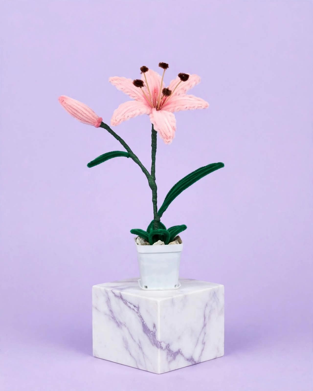Lily with bud
