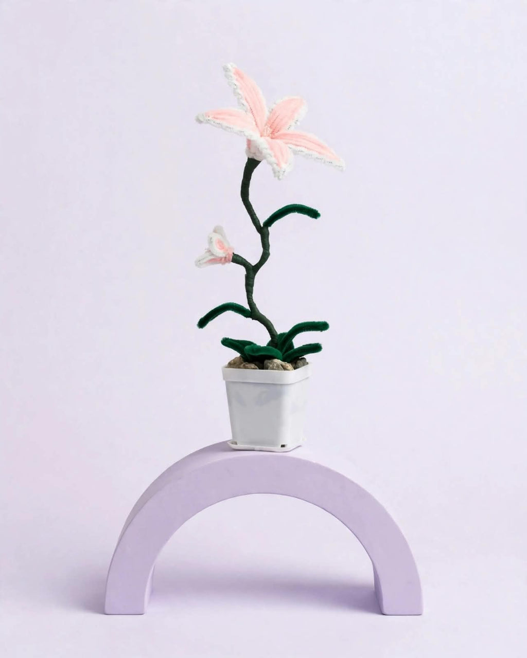 Long petal Lily