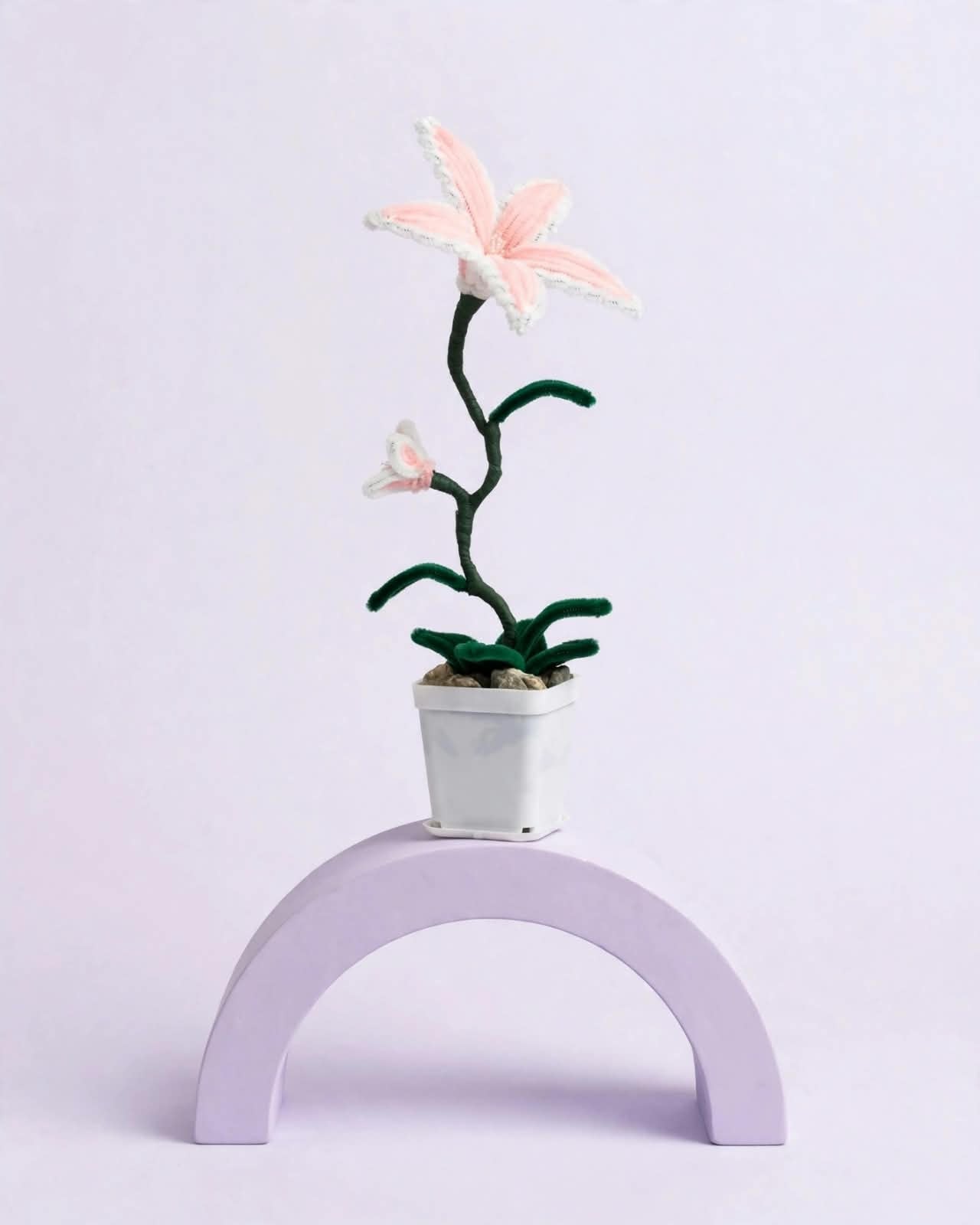 Long petal Lily