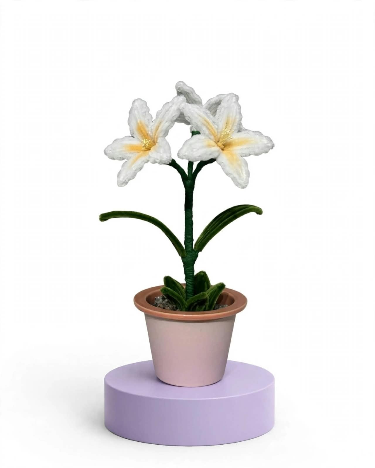Lilies (3 in a pot)