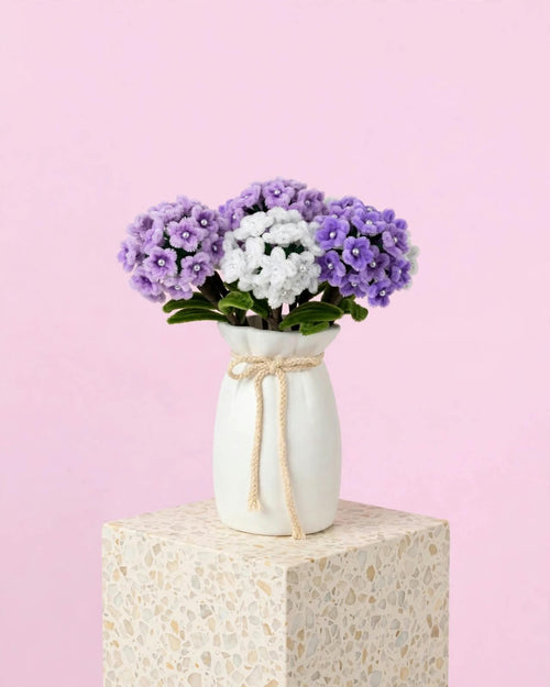 Hydrangeas flowers