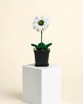 Small flower