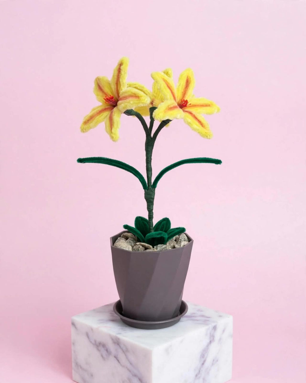 Lilies (3 in a pot)