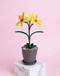 Lilies (3 in a pot)