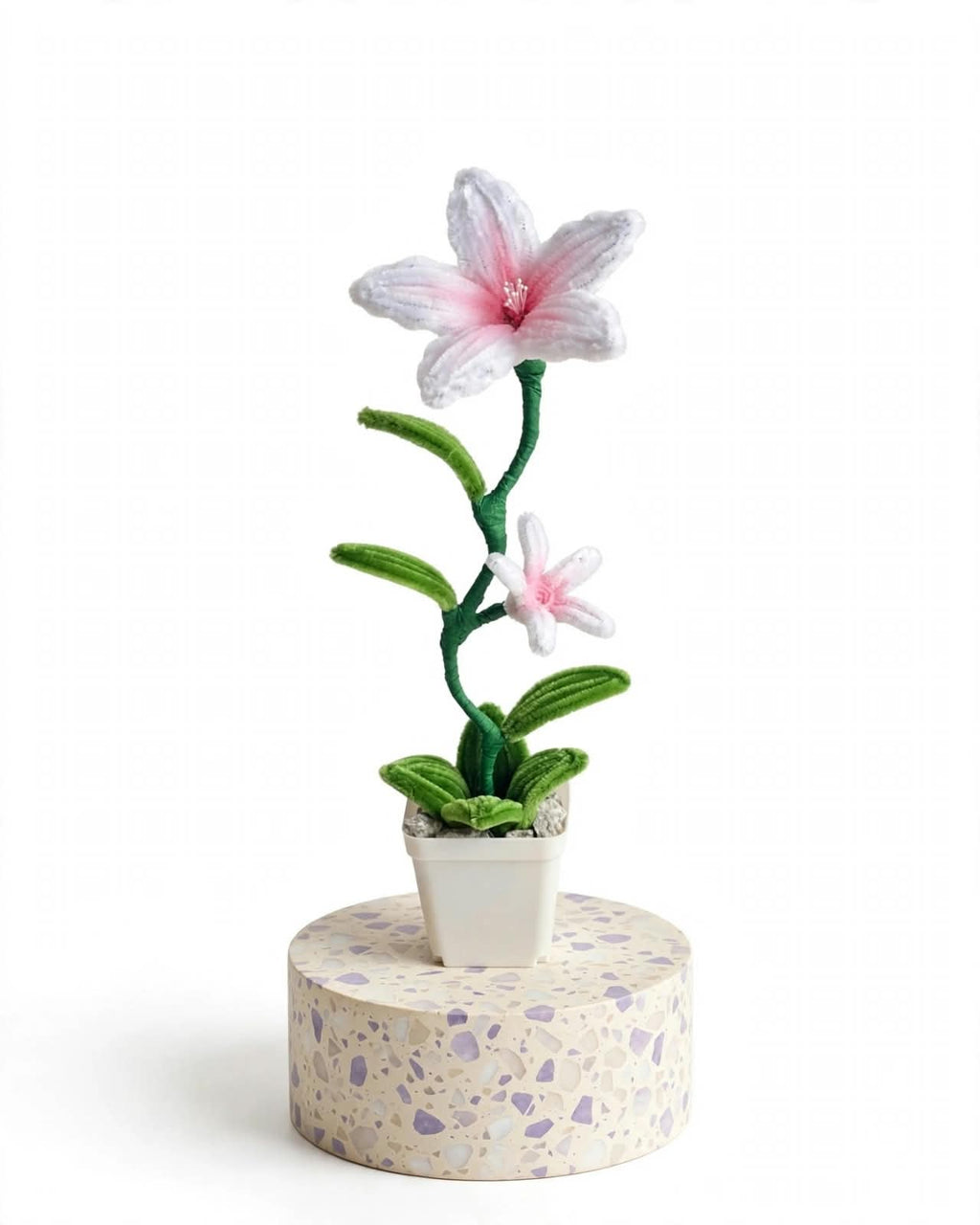 Lily