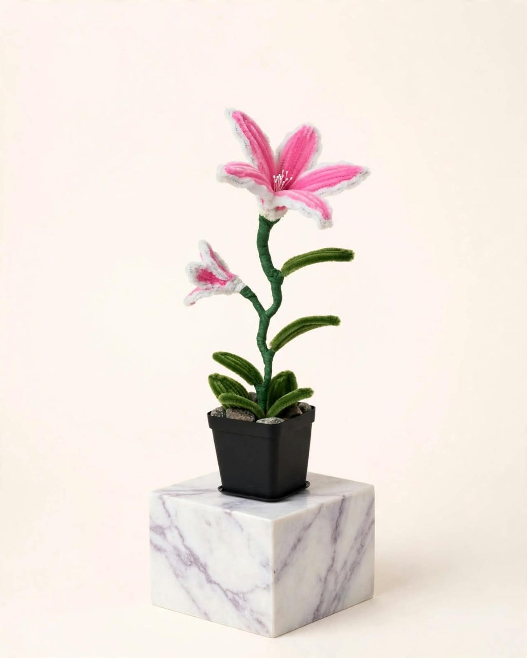 Long petal Lily