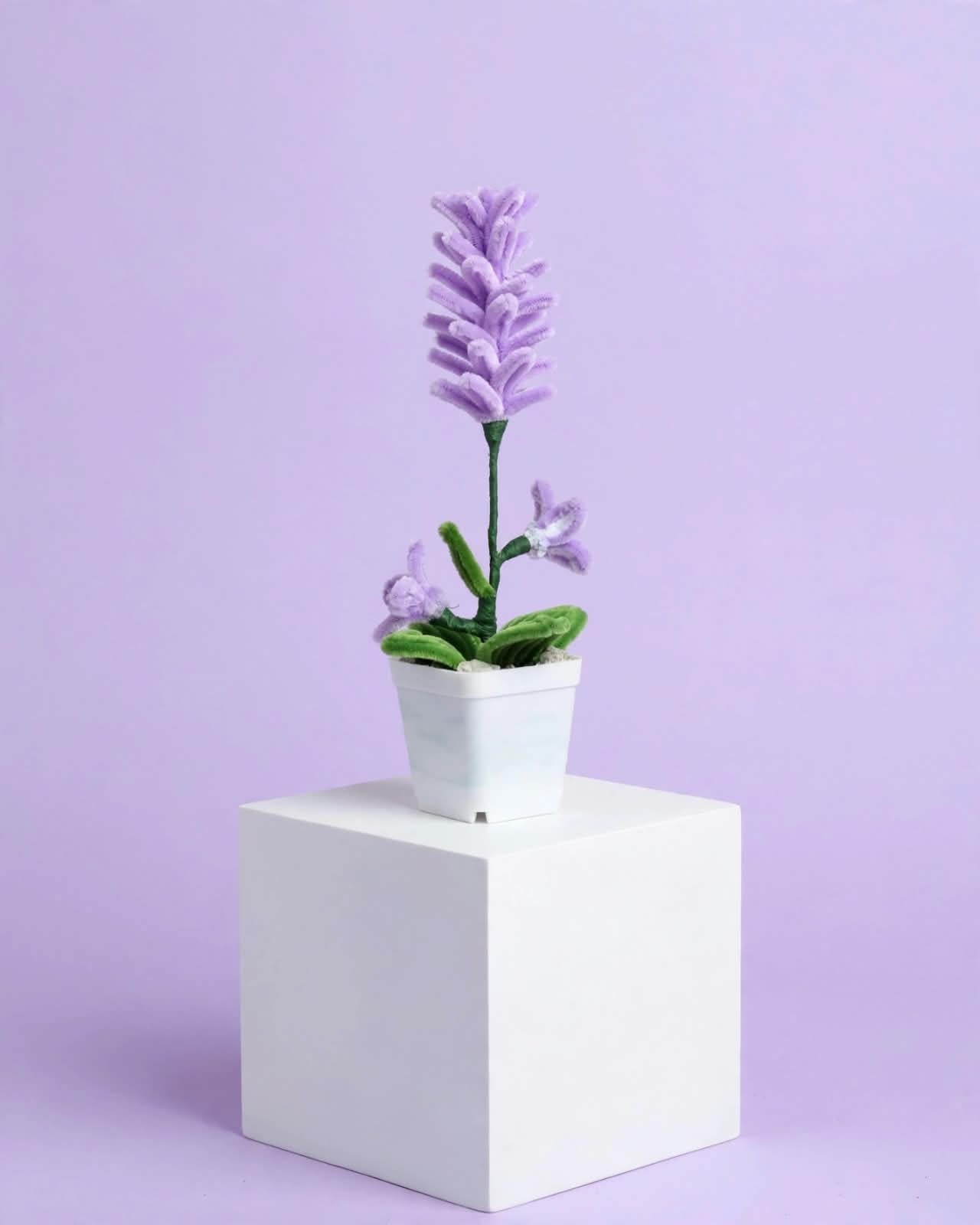 Lavender