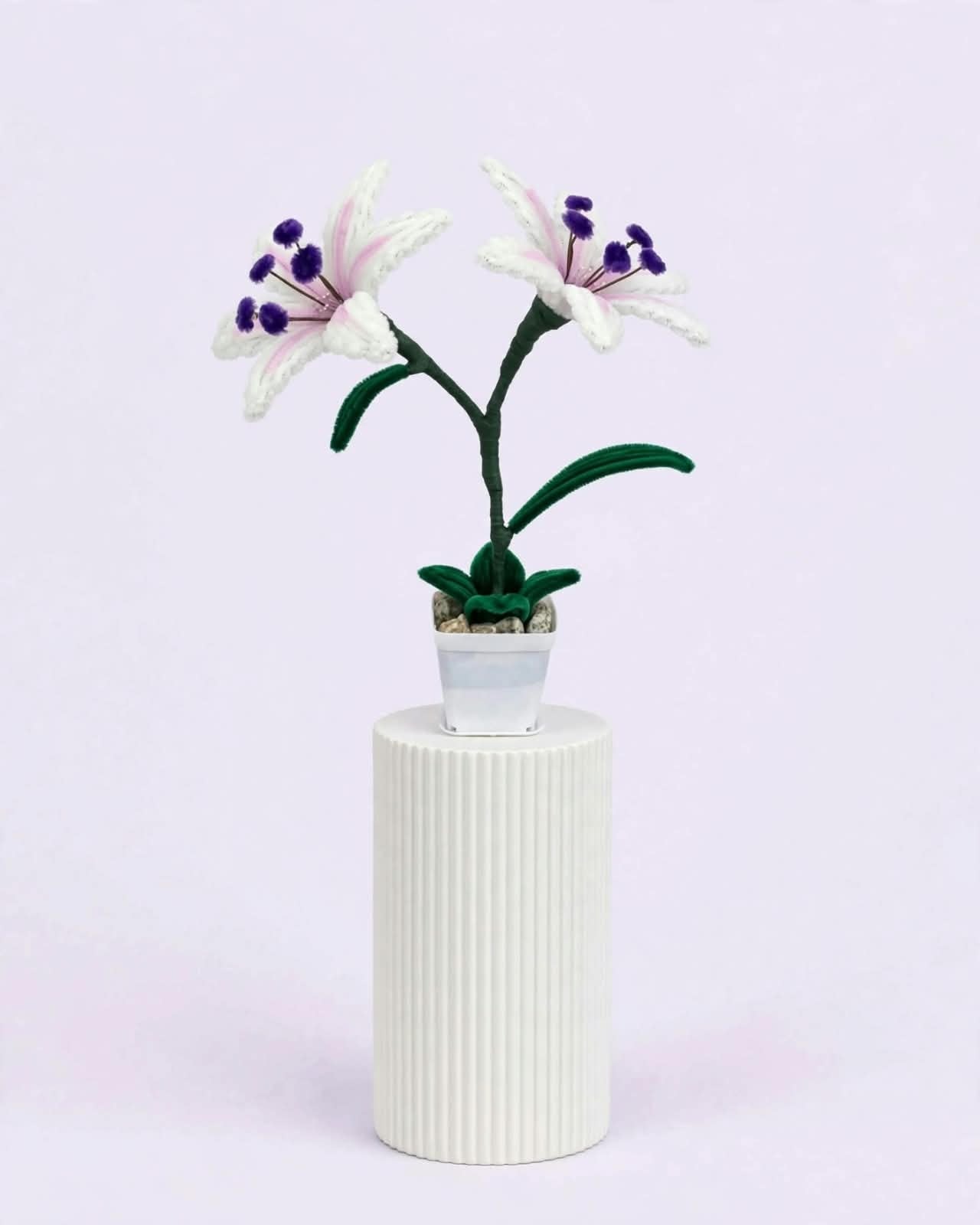 Two branches of Lilies